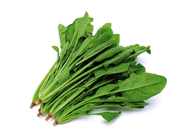 菠菜粉