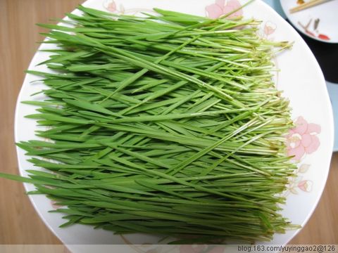 小麦苗粉